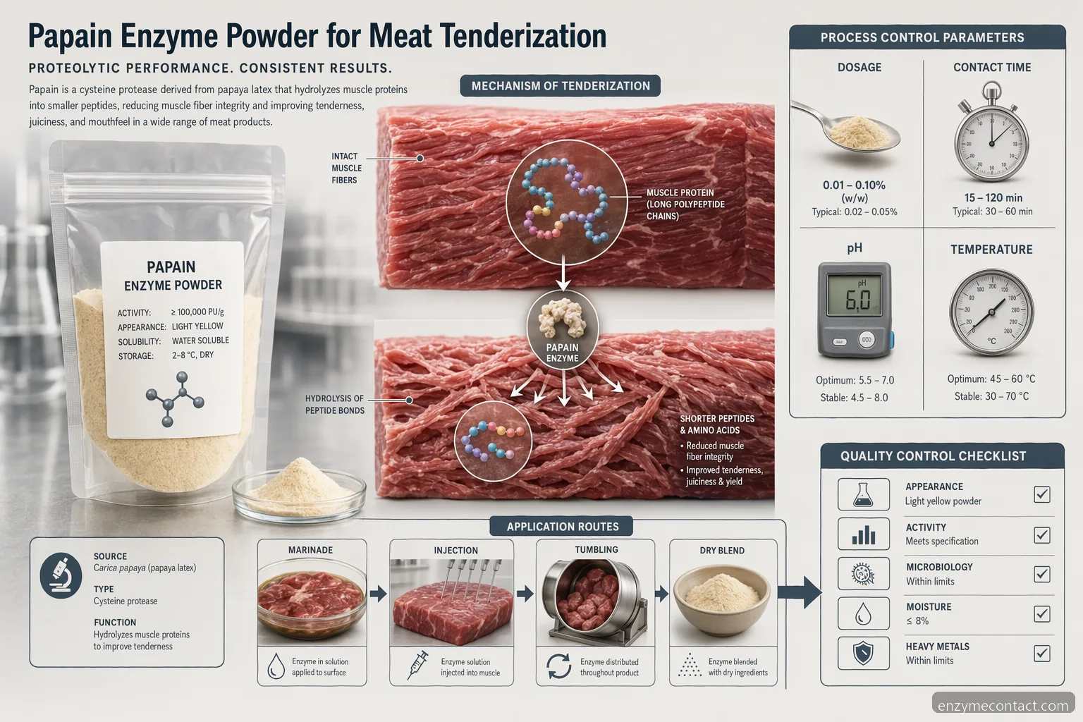 buy papain enzyme powder for meat tenderization: dosage, pH, contact time, heat stop, and QC icons