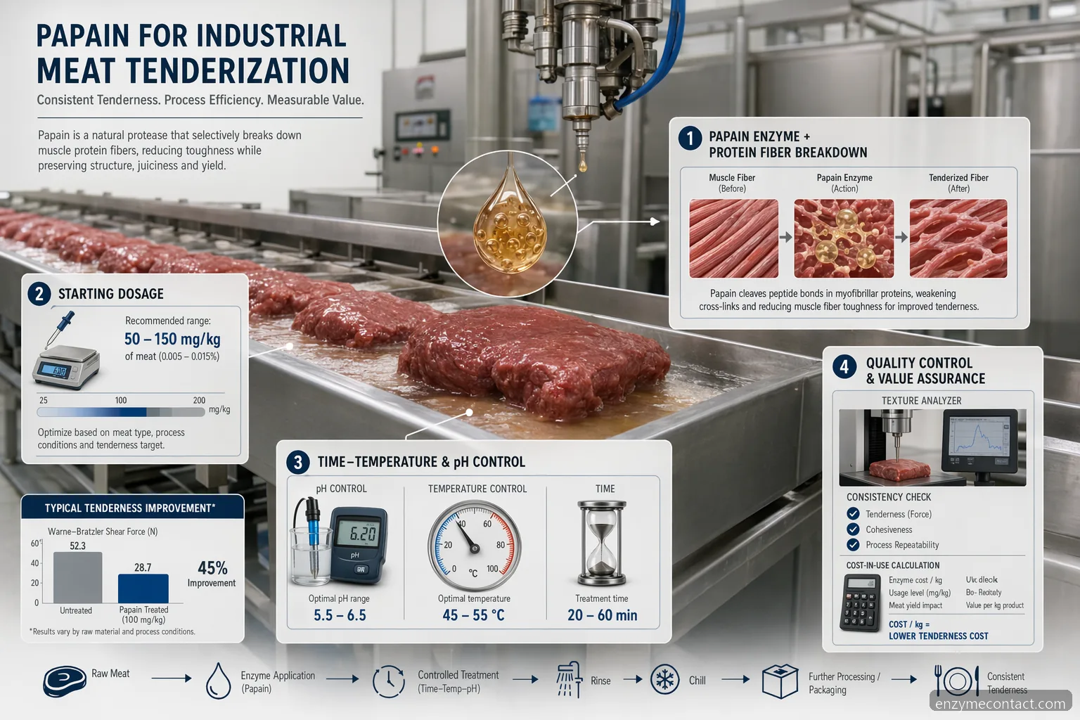 enzym papain industrial meat tenderization infographic with dosage, pH, temperature, QC, and cost controls