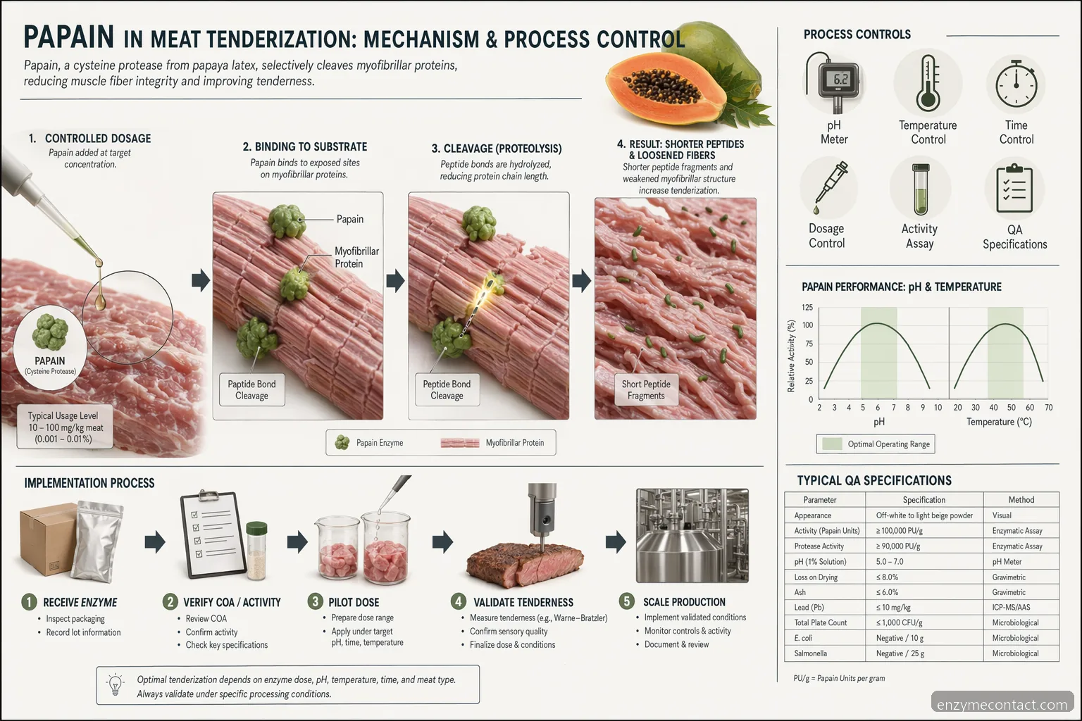 papain enzyme peel process diagram showing papain dosage, pH and temperature targets for controlled meat tenderization