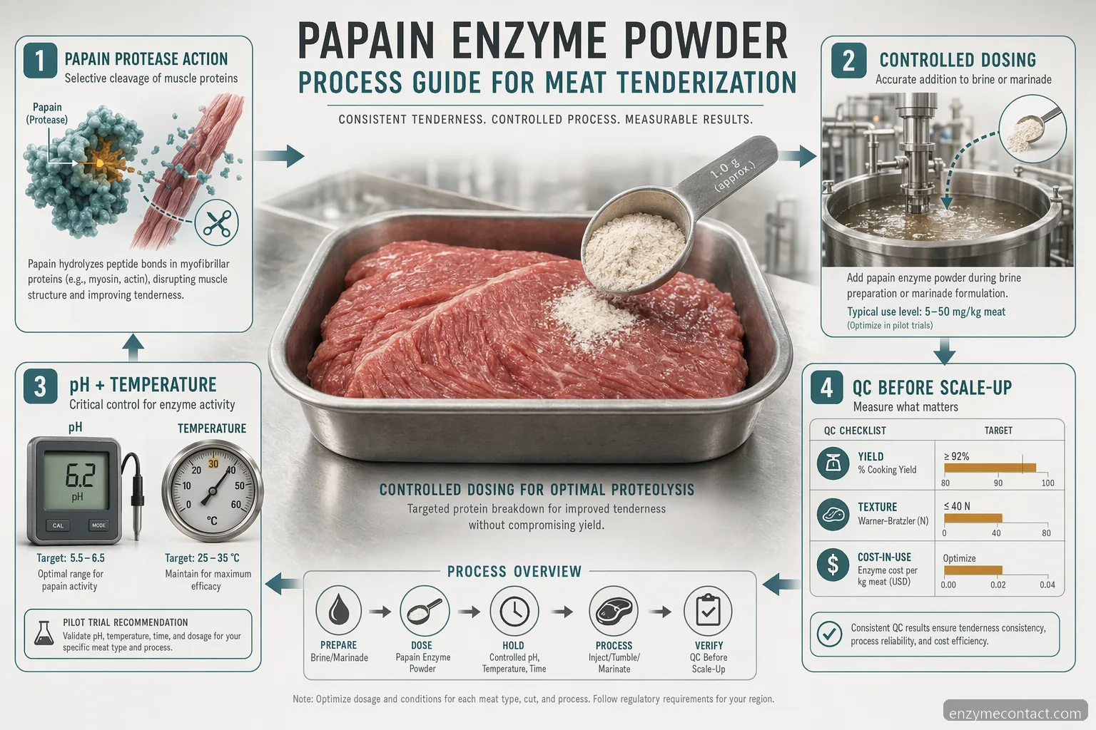 papain enzyme powder meat tenderization guide with process controls for brine dosing, pH, temperature, and QC