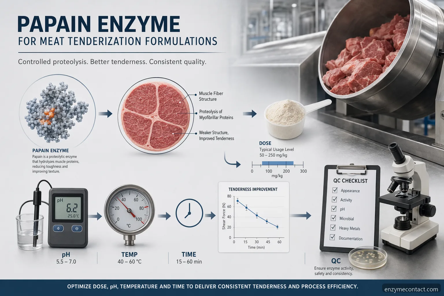 papain enzyme meat tenderization guide with dosage, pH, temperature, formulation routes, and QC checks